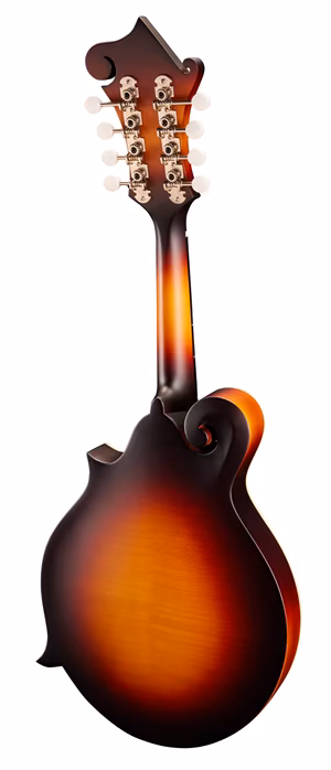 Eastman MD314E-SB - Elektroakustische Mandoline