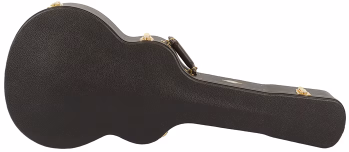 Taylor 362ce - Zwölfsaitige elektroakustische Gitarre