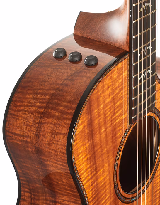 Taylor 924ce-K 50th Anniversary + Circa 74 amp Limited Edition - Akustikgitarre set