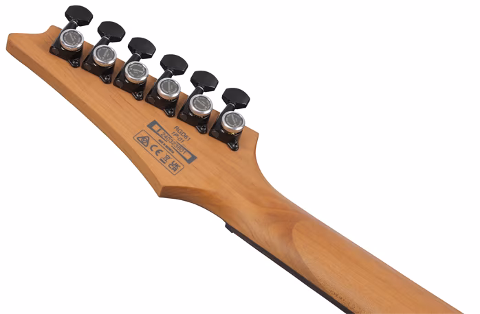 Ibanez RGD61 Black Aurora Burst - E-Gitarre