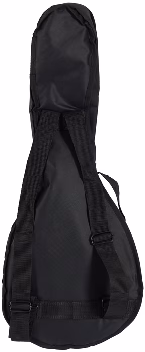 Soundsation BMA-50 VS - Akustische Mandoline