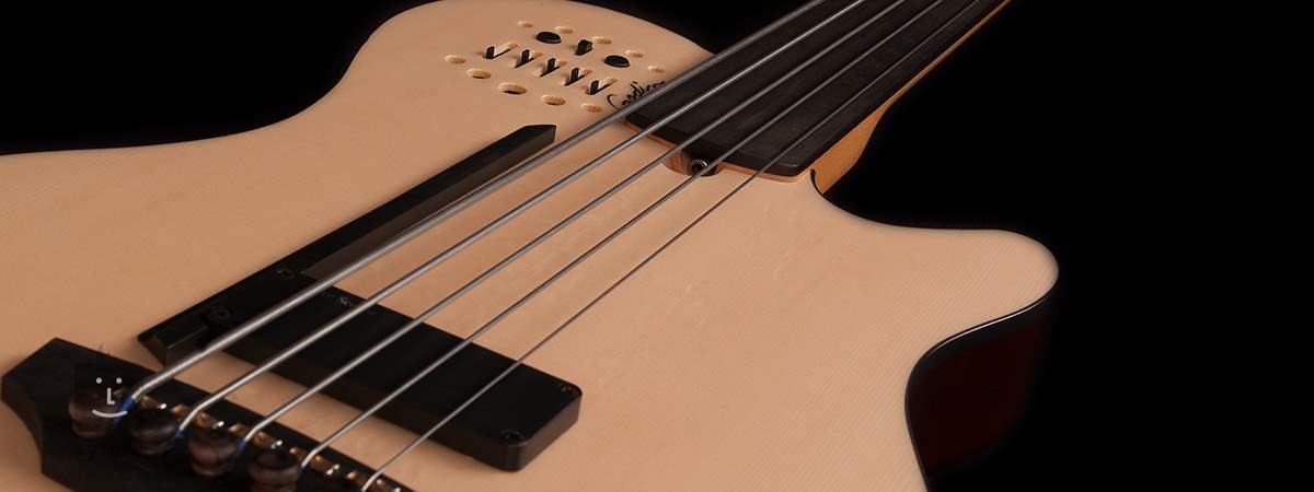 godin fretless bass 