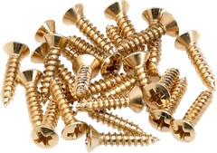 Pickguard/Control Plate Mounting Screws, Gold
