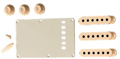 Accessory Kit, Stratocaster, Aged White