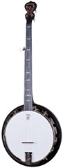Artisan Goodtime Special Banjo
