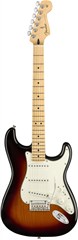 Player Stratocaster MN 3TS
