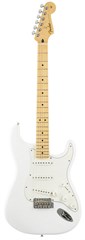 FENDER Player Stratocaster MN PWT
