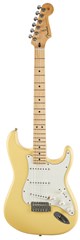 Player Stratocaster MN BCR