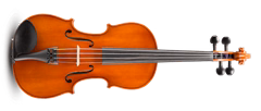 Eastman Samuel Eastman Violin 4/4 (VL50SBC ) - Akustické housle