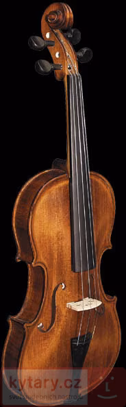 Strunal Schönbach Housle školní 14WA - 