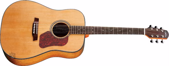 Walden D-570 - Akustická kytara