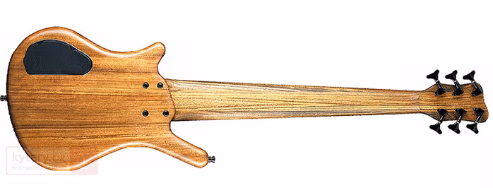 Warwick THUMB BOLT-ON Broad Neck 6 - Elektrická baskytara