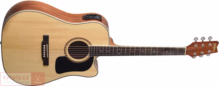 Washburn D10SCEN - Elektroakustická kytara