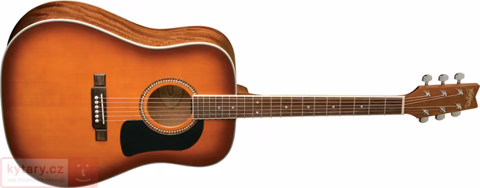 Washburn D10STS - Akustická kytara