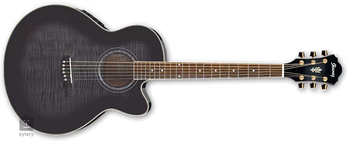 Ibanez AEL 20E - Elektroakustická kytara