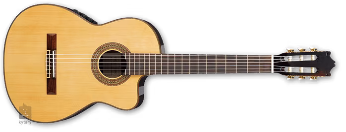 Ibanez G 200ECE NT - Klasická elektroakustická kytara