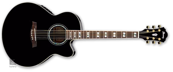 Ibanez AEL 30SE - Elektroakustická kytara