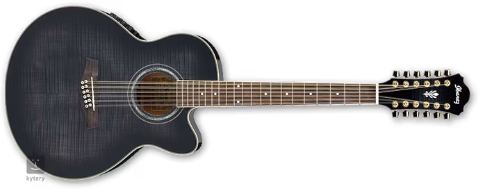 Ibanez AEL 2012E TKS - 
