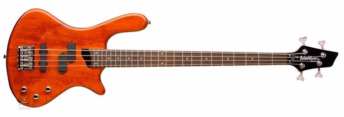 Washburn T14 - 