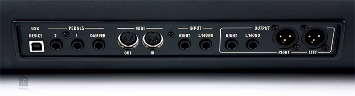 Korg SV1-73 Reverse Key / Limited edition - 