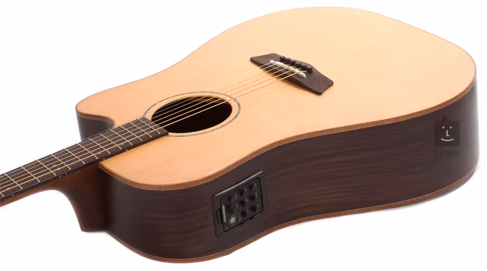 Washburn WD260SWCE - Elektroakustická kytara