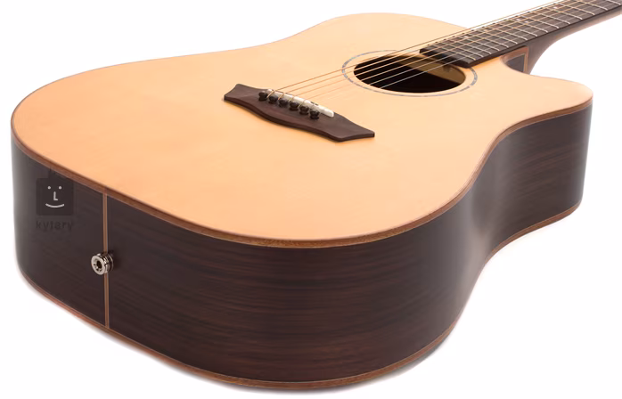 Washburn WD260SWCE - Elektroakustická kytara