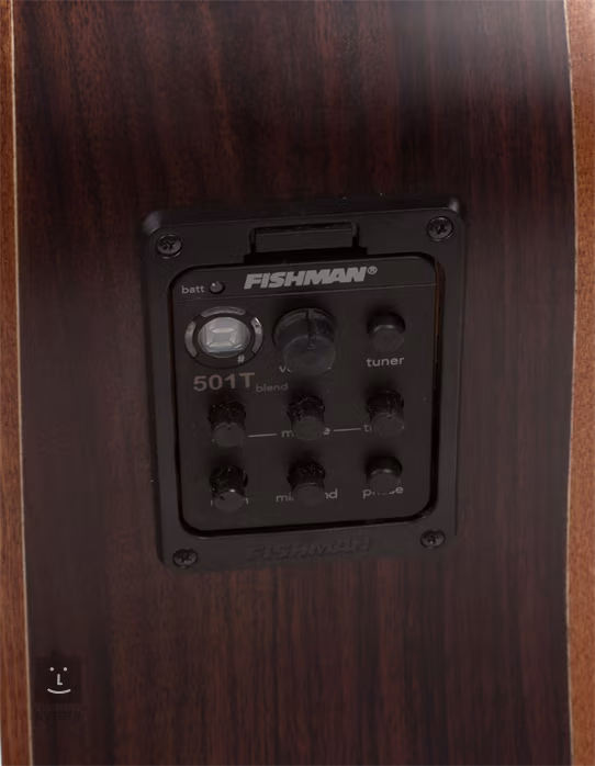 Washburn WD260SWCE - Elektroakustická kytara