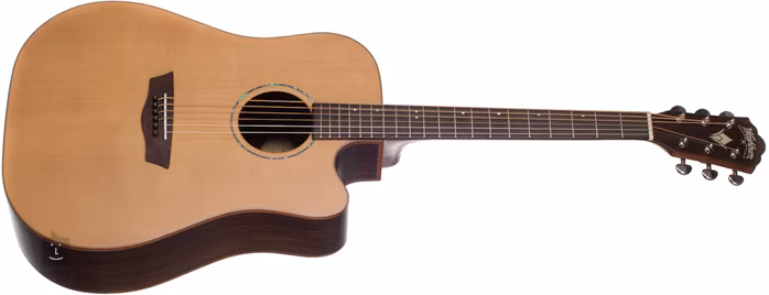Washburn WD260SWCE - Elektroakustická kytara