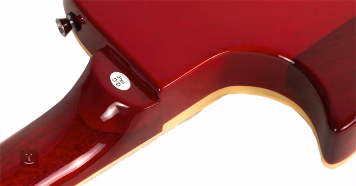 Jay Turser JT-220-CS - Elektrická kytara