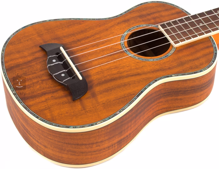 Oscar Schmidt OU5 - Akustické ukulele