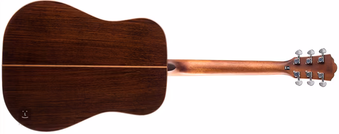 Washburn WD250SW - Akustická kytara