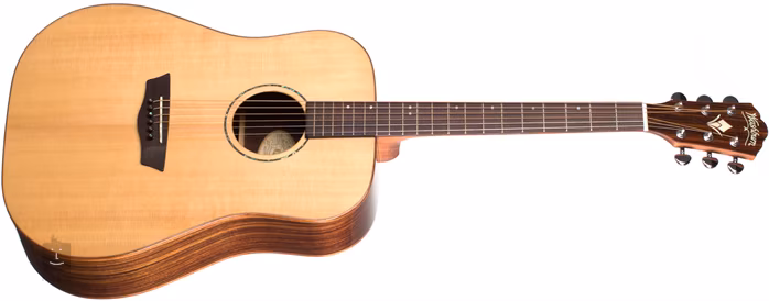 Washburn WD250SW - Akustická kytara