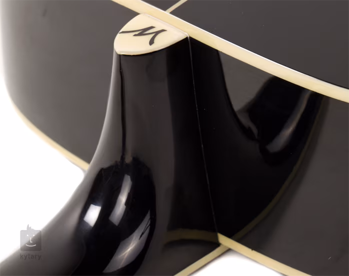 Washburn WD10S B - Akustická kytara