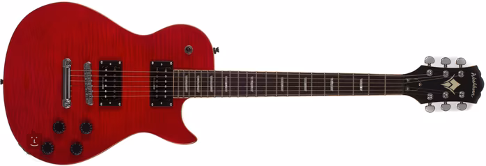 Washburn WINPRO FTR - Elektrická kytara