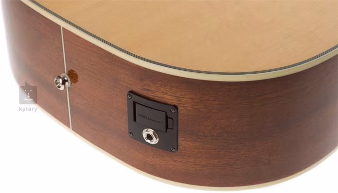 Washburn WD10SCE - Elektroakustická kytara