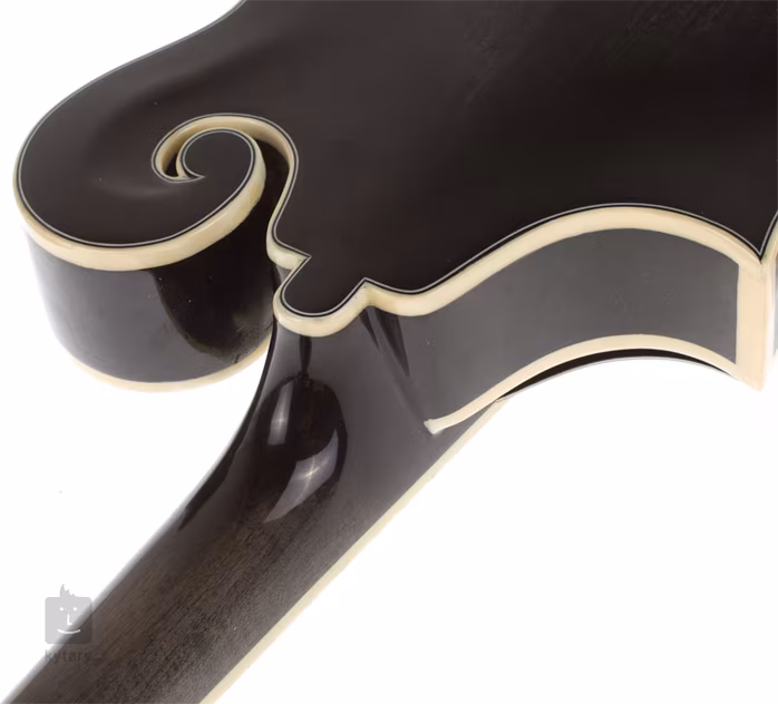 Cort CM F 300E TBK - Elektroakustická mandolína