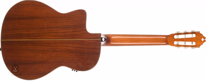 Washburn C104SCE - Klasická elektroakustická kytara