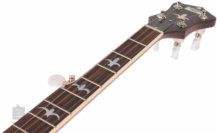 Recording King R35-BR - Banjo