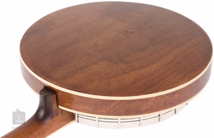 Recording King R35-BR - Banjo