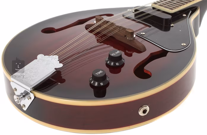 Savannah SA-115-E - Elektroakustická mandolína