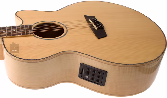 Washburn WJ45SCE12 - Dvanáctistrunná elektroakustická kytara