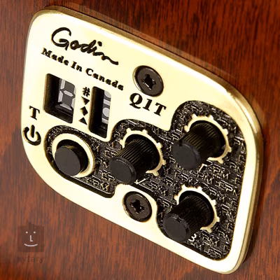 Seagull Performer CW Flame Maple QI - Elektroakustická kytara