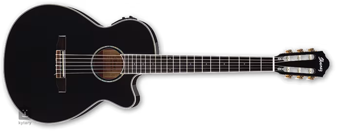 Ibanez AEG 10NII BK - Klasická elektroakustická kytara