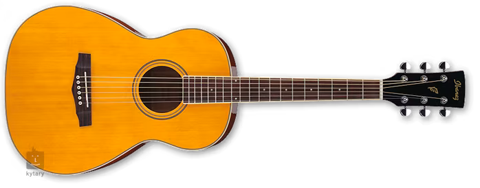 Ibanez PN 15 ATN - Akustická kytara