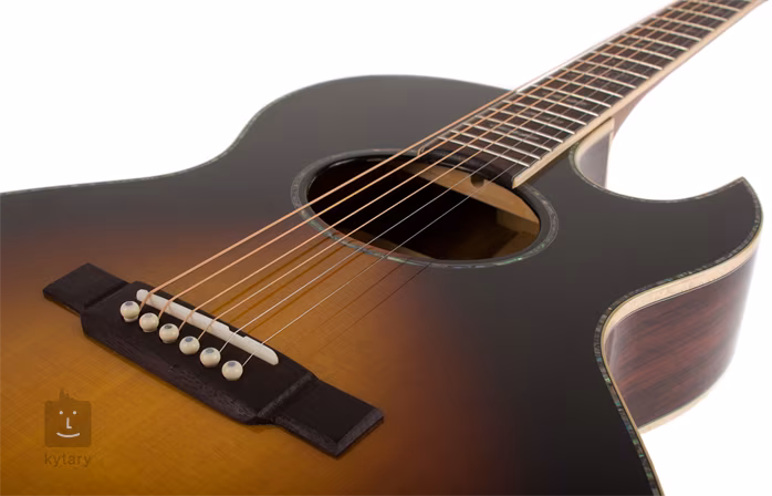 Washburn WEA130 SLTD - Elektroakustická kytara