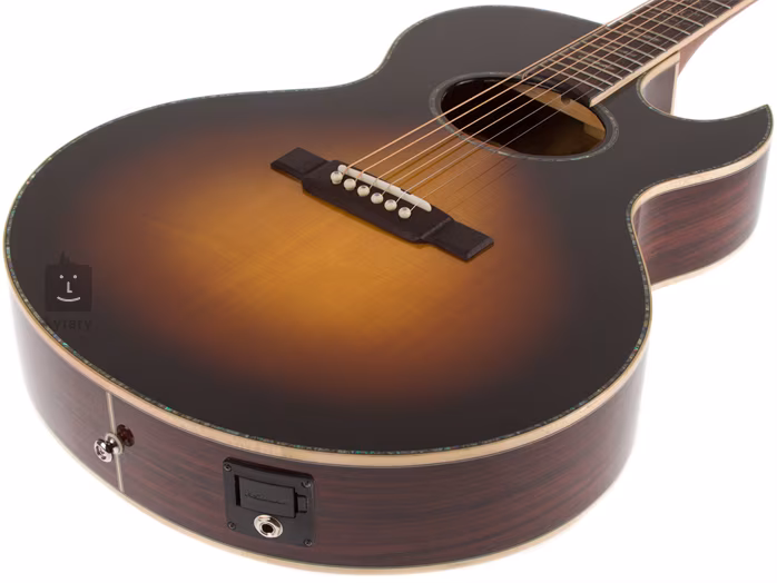 Washburn WEA130 SLTD - Elektroakustická kytara