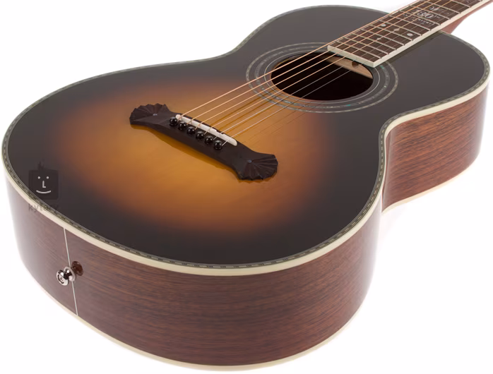 Washburn WP130 SLTD - Akustická kytara