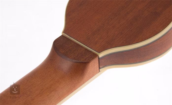 Washburn RO10 - Cestovní kytara