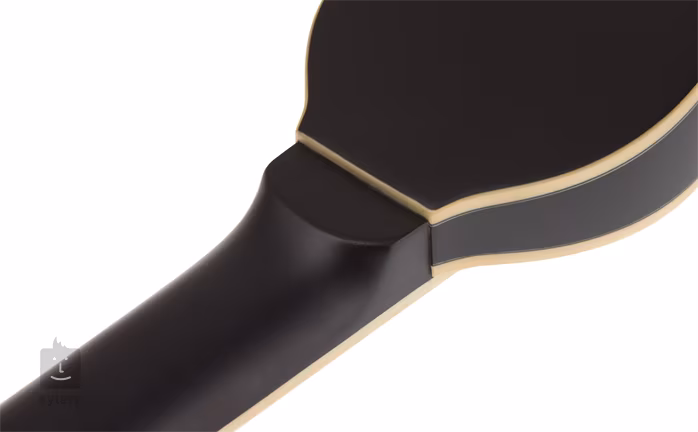 Washburn RO10 B - Cestovní kytara