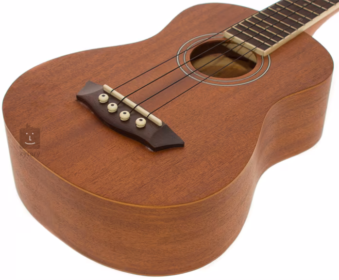 Washburn U20 (použité) - Akustické ukulele